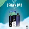 Al fakher 8000 puffs Berry mint flavor disposable vape device (DTL)