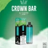 Al fakher 8000 puffs mint flavor disposable vape device (DTL)
