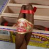 Partagas culebras one twist of 3 cigars with a wooden box in the background.