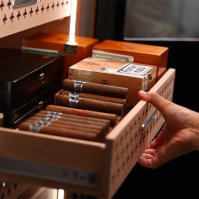 WhatsApp Image 2026-03-02 at 11.32.45 AM (2)